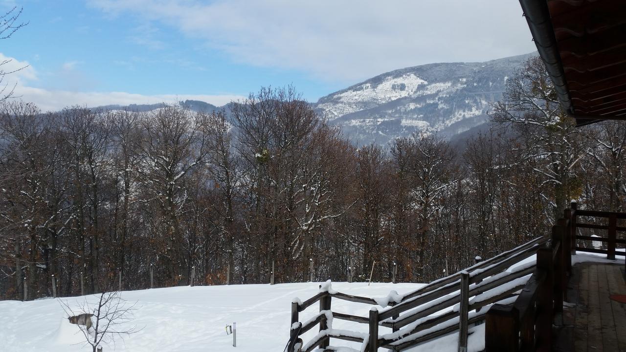 Agriturismo Pietro Falcone Pensionat Celico Exteriör bild